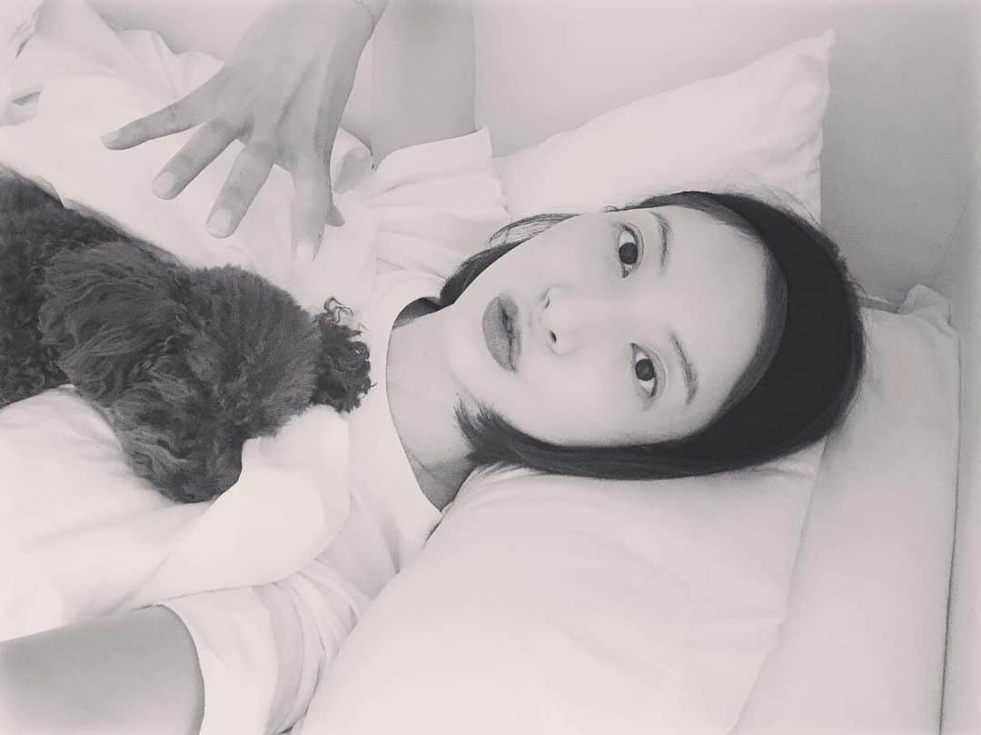 ユン・セアさんのインスタグラム写真 - (ユン・セアInstagram)「#뽀그리야🐶🐾의하루 #심장폭격 #만지고싶다만지고싶다만지고싶다만지고싶다🤗」5月21日 9時57分 - loveyoonsea