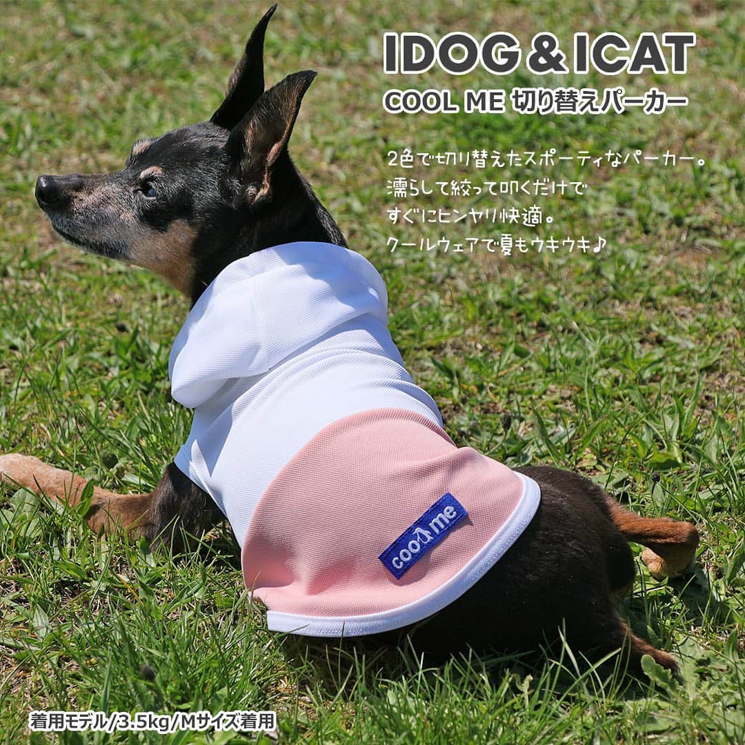 iDog&iCatさんのインスタグラム写真 - (iDog&iCatInstagram)「. 【1枚1080円～大人気プチプラウェア発売開始！】 . IDOG&ICATでは5/20より、販売開始しております♪ 楽天店舗URL：https://item.rakuten.co.jp/idog/c/0000000129/ . 寒い冬を越え、だんだんと暖かくなってきた今日この頃。 今すぐから暑い夏まで着られる春夏ウェアを多数販売♪ . パイル素材のタンクやCOOL MEまで！ 安くてカワイイウェアが6型UP♪ 在庫限りで販売終了になるので、お気に入りが見つかりましたら、お早目にどうぞ★ . イベントの詳細はプロフィールのURLからご確認ください♪ . . IDOG&ICAT公式LINEをお友達登録でお得な情報をゲットしよう！LINE ID『 ＠idogicat 』で検索♪ . #iDog #iDogiCat #iCat #ペット服 #ドッグウェア #新作 #プチプラ #犬服 #犬の服 #犬の服iDog #犬 #超小型犬 #小型犬 #中型犬  #キャットウェア #猫服 #猫の服 #猫の服iCat #猫#わんすたぐらむ #dog #にゃんすたぐらむ #cat #チワワ#トイプードル #ミニチュアダックスフンド#MIX犬」5月21日 9時52分 - idogicat