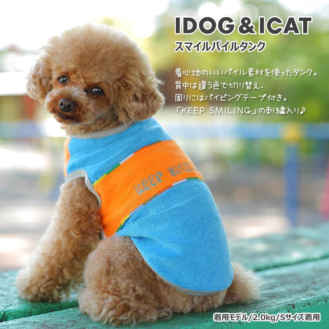 iDog&iCatさんのインスタグラム写真 - (iDog&iCatInstagram)「. 【1枚1080円～大人気プチプラウェア発売開始！】 . IDOG&ICATでは5/20より、販売開始しております♪ 楽天店舗URL：https://item.rakuten.co.jp/idog/c/0000000129/ . 寒い冬を越え、だんだんと暖かくなってきた今日この頃。 今すぐから暑い夏まで着られる春夏ウェアを多数販売♪ . パイル素材のタンクやCOOL MEまで！ 安くてカワイイウェアが6型UP♪ 在庫限りで販売終了になるので、お気に入りが見つかりましたら、お早目にどうぞ★ . イベントの詳細はプロフィールのURLからご確認ください♪ . . IDOG&ICAT公式LINEをお友達登録でお得な情報をゲットしよう！LINE ID『 ＠idogicat 』で検索♪ . #iDog #iDogiCat #iCat #ペット服 #ドッグウェア #新作 #プチプラ #犬服 #犬の服 #犬の服iDog #犬 #超小型犬 #小型犬 #中型犬  #キャットウェア #猫服 #猫の服 #猫の服iCat #猫#わんすたぐらむ #dog #にゃんすたぐらむ #cat #チワワ#トイプードル #ミニチュアダックスフンド#MIX犬」5月21日 9時52分 - idogicat