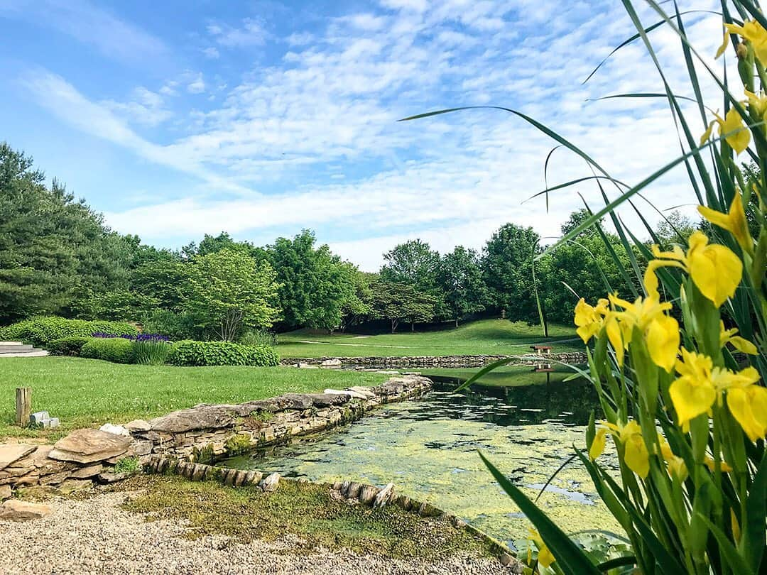 愛知県田原市さんのインスタグラム写真 - (愛知県田原市Instagram)「You don't want to see it actually? * 実際に見てみたくない？ * #絵になる風景 こんな#美しい場所 ここは#アメリカ#ジョージタウン ちょっと下見してきました！ 来年は#姉妹都市提携30周年 みんなで訪問しよう #友好園#USA#ケンタッキー州#ジョージタウン市#姉妹都市#Georgetown  #たはら暮らし  #渥美半島#田原市#田原#伊良湖岬#伊良湖#赤羽根 #tahara#irago#akabane #サーフィン#surfing#田舎暮らし#日々の暮らし#休日の過ごし方#スローライフ#instagramjaran#」5月21日 10時02分 - tahara_kurashi