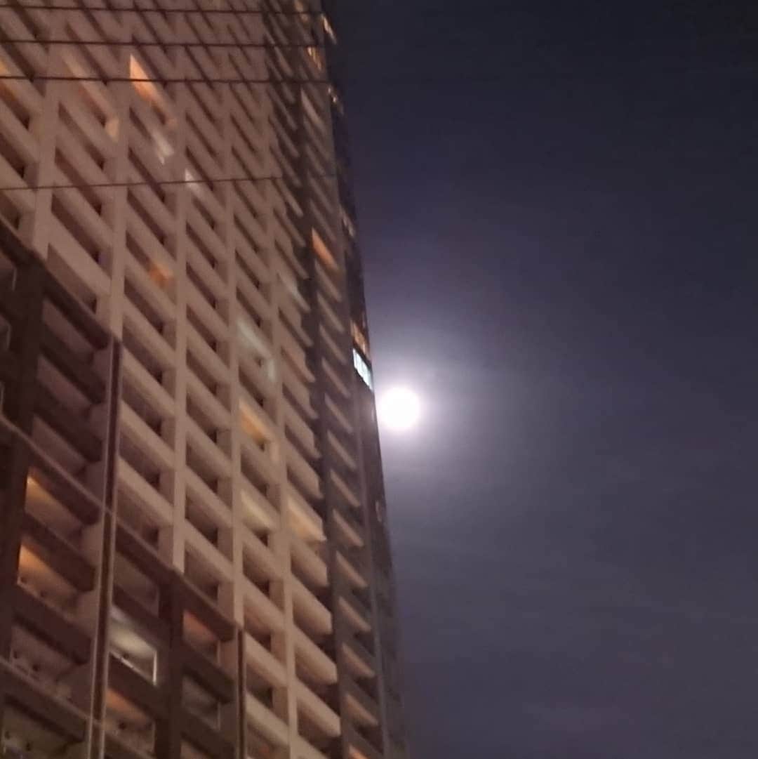 松坂南さんのインスタグラム写真 - (松坂南Instagram)「月が好き✨  だけど、都会の月は建物におされてなんだかなぁ💨」5月21日 10時46分 - minami_matsuzaka