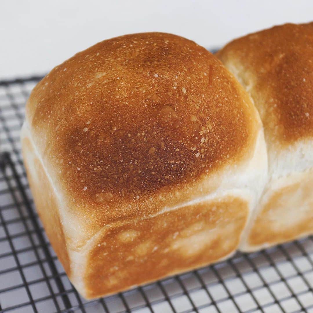 hirokoさんのインスタグラム写真 - (hirokoInstagram)「🌱2019.5.21（火） ✽.｡.:*・ﾟ #hiroponの朝ごはん ・ 食パンで#ワンプレート朝ごはん ・ 超〜がつくぐらい久しぶりに焼いた#食パン ただいま中年夫婦2人の生活 パンを食べるのは私だけ... 食べ切れる分だけと思ってパウンド型で小さく 焼き上がりのビジュアルいまいち...😑 自分で食べるんだ！味が良ければいいさ ・ そしてココットで#簡単キッシュ チーズを後のせしちゃって ｵｰﾏｲｶﾞｰ😱💦 まるでグラタン って事でスプーンで中見せ ・ ・ キッシュとパンは @siroca.jp さんの#すばやき で キッシュを焼いた後にトースト焼いても トーストは1分で焼けちゃうからキッシュも冷めない ・ ・ 【簡単キッシュ】 簡単な作り方ブログに載せてます プロフィール🔗から飛べますよ おひまな時に遊びにきて下さ〜い🤗 ・ ・ ▫️--------------------end--------------------▫️ #キッシュ #インスタフード #おうちごはん通信 #おうちごはんLover #くらしメイド #お家カフェ #フーディーテーブル #マカロニメイト #デリミア #デリスタグラマー #バランスの良い食事 #魅せるごはん #モーニングプレート #朝ごはん #日々の暮らし #キナリノ #朝時間 #朝ごはん #素敵な器 #snapdish #macaroni #locari_kitchen #lin_stagrammer #wp_deli_japan #hiroponのワンプレートごはん」5月21日 11時25分 - hiropon0201