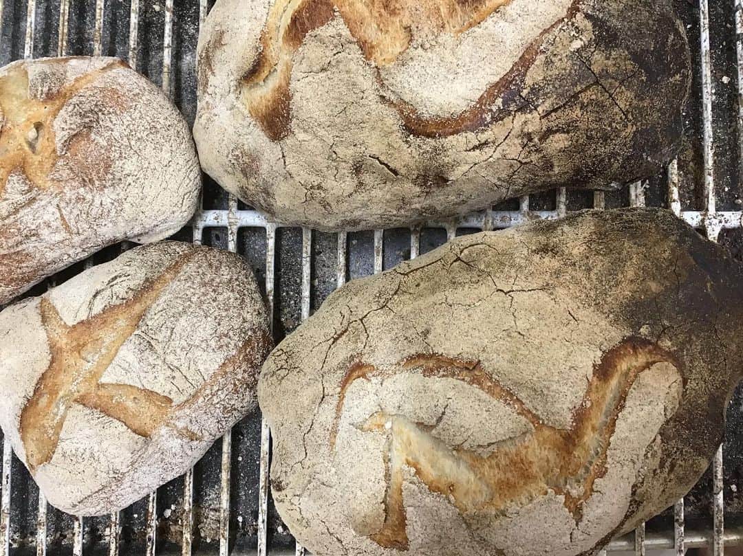 魔女菅原のグルメインスタ