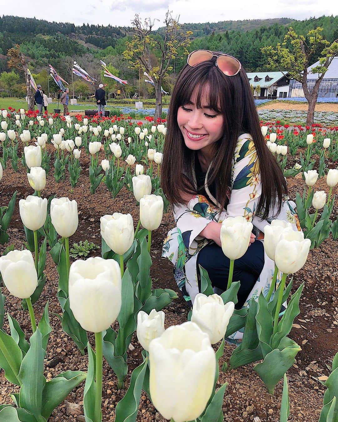 ノウィキ茉莉のインスタグラム：「Is it too late now to say sorry?  Did you know: Red tulips represent true love, white tulips say “I’m sorry,” and purple tulips symbolize royalty チューリップの色によって花言葉が変わるって知ってた？ 赤は愛の告白。白は「ごめんなさい」。紫は永遠の愛。 . . . #funfacts #tulips #チューリップ #flowers #garden #japan #photooftheday #sorrynotsorry #photography #hapa #tokyocameraclub #東京カメラ部 #写真好きな人と繋がりたい」