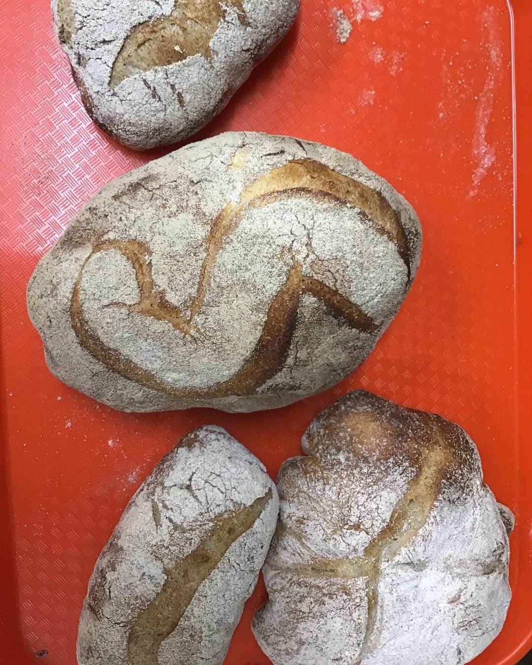 魔女菅原のグルメインスタ