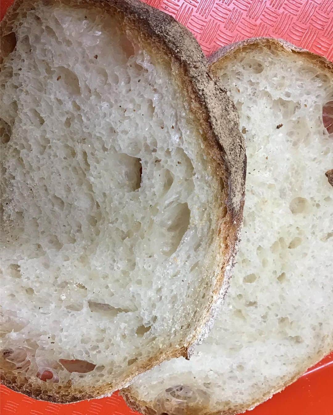 魔女菅原さんのインスタグラム写真 - (魔女菅原Instagram)「キャプションより断面の方が物語ると思うので、焼いたパンのうち尊い犠牲のパンを選んでスライス。  ついでに試食して、うん、きょうもおいしい！と自画自賛する私😆。 #セーグルノアとセーグルフィグ #バタールコルドン #リュスティック #パンの断面 #自家製天然酵母のパン屋さんカンパーニュ  #魔女菅原」5月21日 11時28分 - hatsuyosugawara