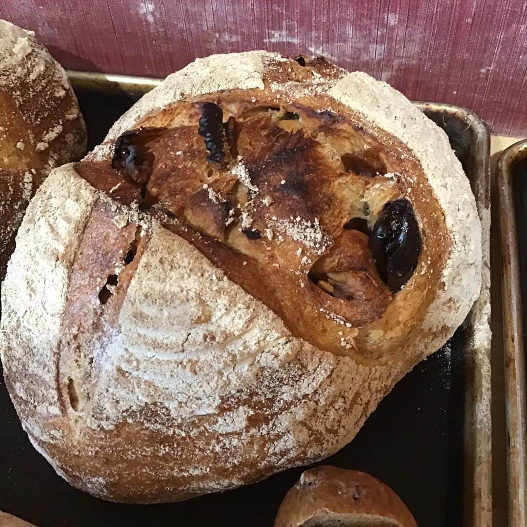 魔女菅原のグルメインスタ