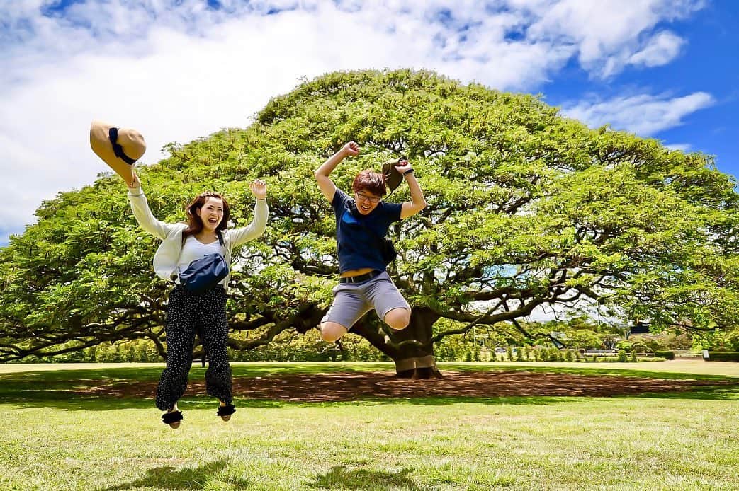 kawaiihawaiitourさんのインスタグラム写真 - (kawaiihawaiitourInstagram)「カワイイ・ハワイ・ツアーのどこでもツアーでは、日立の樹こと、この木なんのも大人気です‼️😄🤙 当社では、お客様が行きたいところを自由に選んでもらって好きなようにツアーが回れます。 --------------------------------------------------------- ❤️Kawaii Hawai'i Tour / カワイイ・ハワイ・ツアー ❤️✨🌈プラン🌈✨ (ハワイ州政府公認会社 PUC 497-C) ✔︎日本人経営 日本人ガイド付きツアーなので安心️🏝✨😎👍🏽 ✔︎あなただけのオリジナルツアーが作れます ✔︎初ハワイ満喫コース、オススメスケジュールご用意しています‼︎ ✔︎ガイドブック派？それともローカル体験派？ ✔︎なんでもご相談下さい 💁🏽‍♂️💁🏽☀️🏝✨😎👍🏽 ✔︎お写真もたくさんお撮りします🤳 -------------------------------------------------------- お客様の笑顔が私達の笑顔をモットーにツアーをさせてもらっています🚙🚖🚘 --------------------------------------------------------- #ハワイ #hawaii #カワイイハワイハワイツアー #kawaiihawaiitour #ハワイどこでもツアー  #ハワイ貸し切りツアー #ハワイツアー #ハワイオプショナルツアー #ハワイチャーターツアー  #インスタ映え  #まっぷるハワイ  #ハワイ旅行 #天国の海  #ラニカイビーチ #ピルボックス #ピンクピルボックス #サンセットビーチ #ハワイウェディングフォト #ハワイハネムーン #ハワイ挙式  #ハレイワ #カイルア  #アウラニディズニー #カカアコ #カカアコウォールアート #フォトジェニック  #ハワイ観光  #モアナルアガーデン #この木なんの木 #日立の樹」5月21日 12時07分 - kawaiihawaiitour