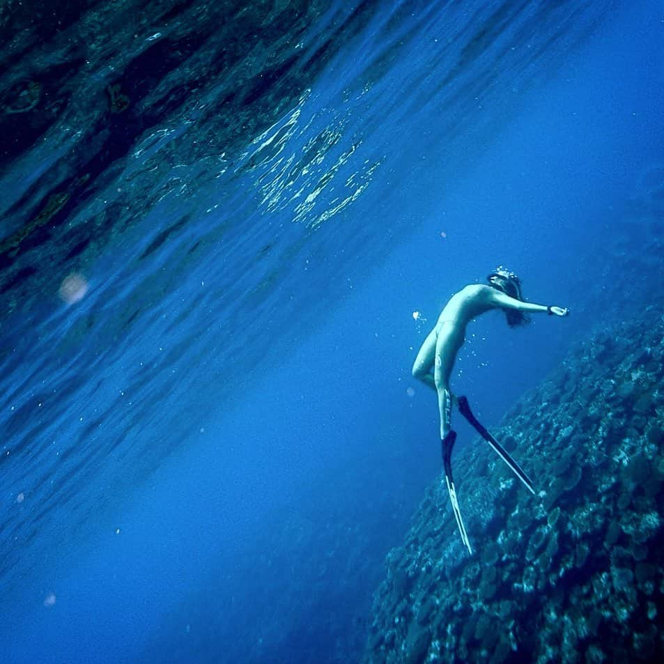 福田朋夏さんのインスタグラム写真 - (福田朋夏Instagram)「💙🌎💙🌎 Photo by @isana_ishigaki #ishigakiisland #freediving #apnea @alchemy_hellas @zero_wetsuits @aqualungdivers」5月21日 12時26分 - tomoka_fukuda