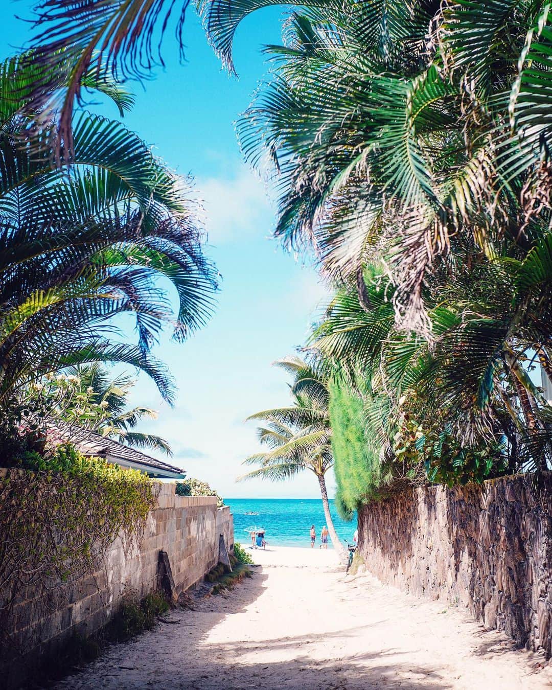 Naokoのインスタグラム：「LANIKAI BEACH..⛱🌴 * 数年ぶりのラニカイビーチ。 すっかり人が増えて賑やかになってしまっていたけど 青い海はちゃんとありました！ ワイキキビーチで初めての砂浜に娘はシェーの姿勢のまま 片足つけずにギャン泣きしていたけど プール遊びを挟んでリベンジしたら 海の楽しさに気づいたみたい👌 そして砂遊びは教えなくても始めて子供の凄さを感じたり。 サラサラしていて不思議だったのかな。 昨日近所の公園に行ったら砂を見つけて しばらく砂いじりしていました。 ニヤニヤが止まらなくて変な人だったと思う笑  成長をたくさん見せてくれた海。 また好きになりました。 にしても海にバナナがよく似合う！」