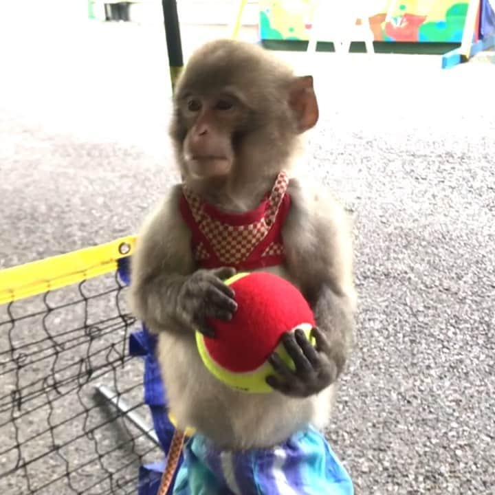 吉崎仁康のインスタグラム