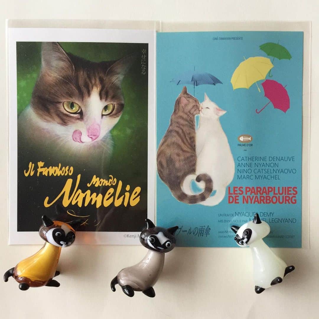 おおたうにさんのインスタグラム写真 - (おおたうにInstagram)「天気予報通りの強い雨の日☔️ お家でゆっくり映画でも観ましょう。 @cari_sakura ちゃんにいただいた、『ニャメリ』と『ニャルブールの雨傘』がぴったり☂️🐱🌂✨ #今日のねこ #cat #postcard #目羅健嗣」5月21日 13時19分 - outa_uni