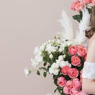 Dresses (ドレッシーズ)のインスタグラム