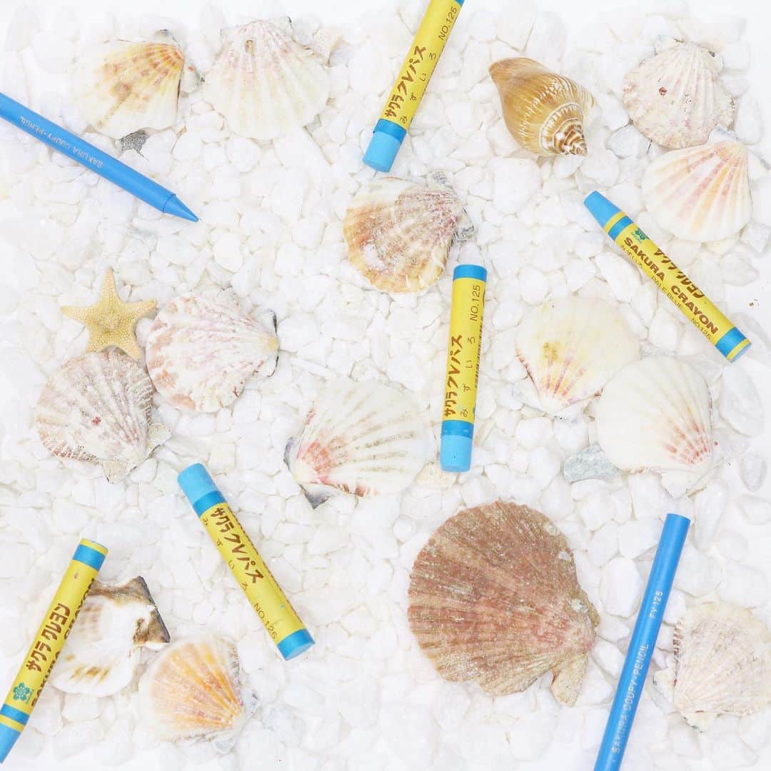 のインスタグラム：「. #クレパス #クレヨン #クーピー #筆記具 #文房具 #文具 #文房具好きな人と繋がりたい #stationery #beach #beachgirl #beachtrip #sea #seashells #shells」
