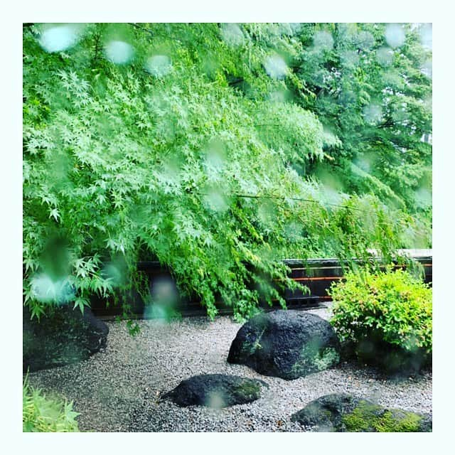 奥菜恵さんのインスタグラム写真 - (奥菜恵Instagram)「雨」5月21日 15時31分 - megumi_okina