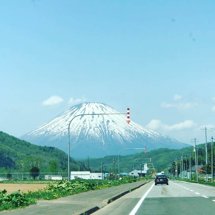 D[di:]のインスタグラム：「久しぶりの帰省3  家族と羊蹄山コース 1.写真ではつたわらない…美しさがあーるーかーらー系…でもないか。わりと伝わった？5月の新緑と羊蹄山のハレーションおこしめのコントラストがほんとにヤバい。じつは東京に住んでから、この時期に北海道にほぼ帰ってきたことないので、こんなに北海道の春がスンバラしいの知らなかった💦💦💦 2.雄大すぎ系羊蹄山 3.畑、森、羊蹄山の三種盛り 4.高橋牧場系ソフトクリーム。当然、飲むヨーグルトとコンボでいただく 5.両親と41年の親戚以上のお付き合い、K藤家に保管されているチビD[di:]座敷わらし時代のお姿 6.K藤家との宴。孫娘Mちゃん25が私デザインの婚姻届けを令和元日に提出したとのことでワイワイガヤガヤ会。道民は一斉に話すから大人数での宴はだいぶガヤる。 7.でぶ社長おつかれさまです」