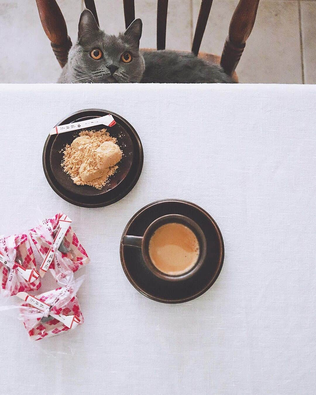 樋口正樹さんのインスタグラム写真 - (樋口正樹Instagram)「Coffee & Shingenmochi . 今日のおやつは、 頂き物の信玄餅。 美味しい珈琲と。 . ボナさんも山っぽい。 #動かざること山の如し . . @delonghi_japan #delonghi #delonghista #DeLonghiMoments #DelonghiELETTA #デロンギ #デロンギスタ #デロンギのある暮らし #デロンギコーヒーマシン #デロンギ全自動コーヒーマシン #エレッタ #ホットコーヒー #Shingenmochi」5月21日 15時56分 - higuccini