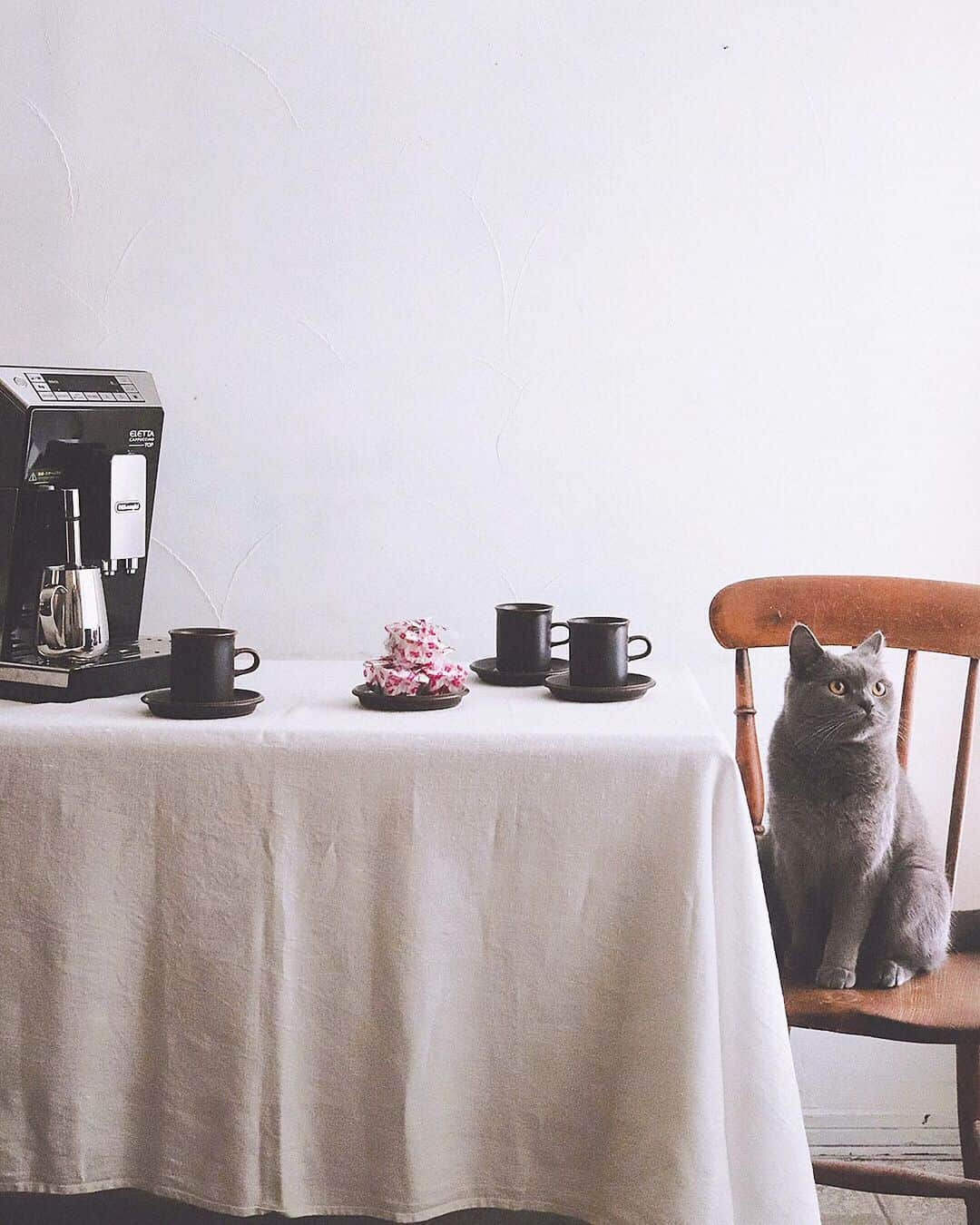 樋口正樹さんのインスタグラム写真 - (樋口正樹Instagram)「Coffee & Shingenmochi . 今日のおやつは、 頂き物の信玄餅。 美味しい珈琲と。 . ボナさんも山っぽい。 #動かざること山の如し . . @delonghi_japan #delonghi #delonghista #DeLonghiMoments #DelonghiELETTA #デロンギ #デロンギスタ #デロンギのある暮らし #デロンギコーヒーマシン #デロンギ全自動コーヒーマシン #エレッタ #ホットコーヒー #Shingenmochi」5月21日 15時56分 - higuccini