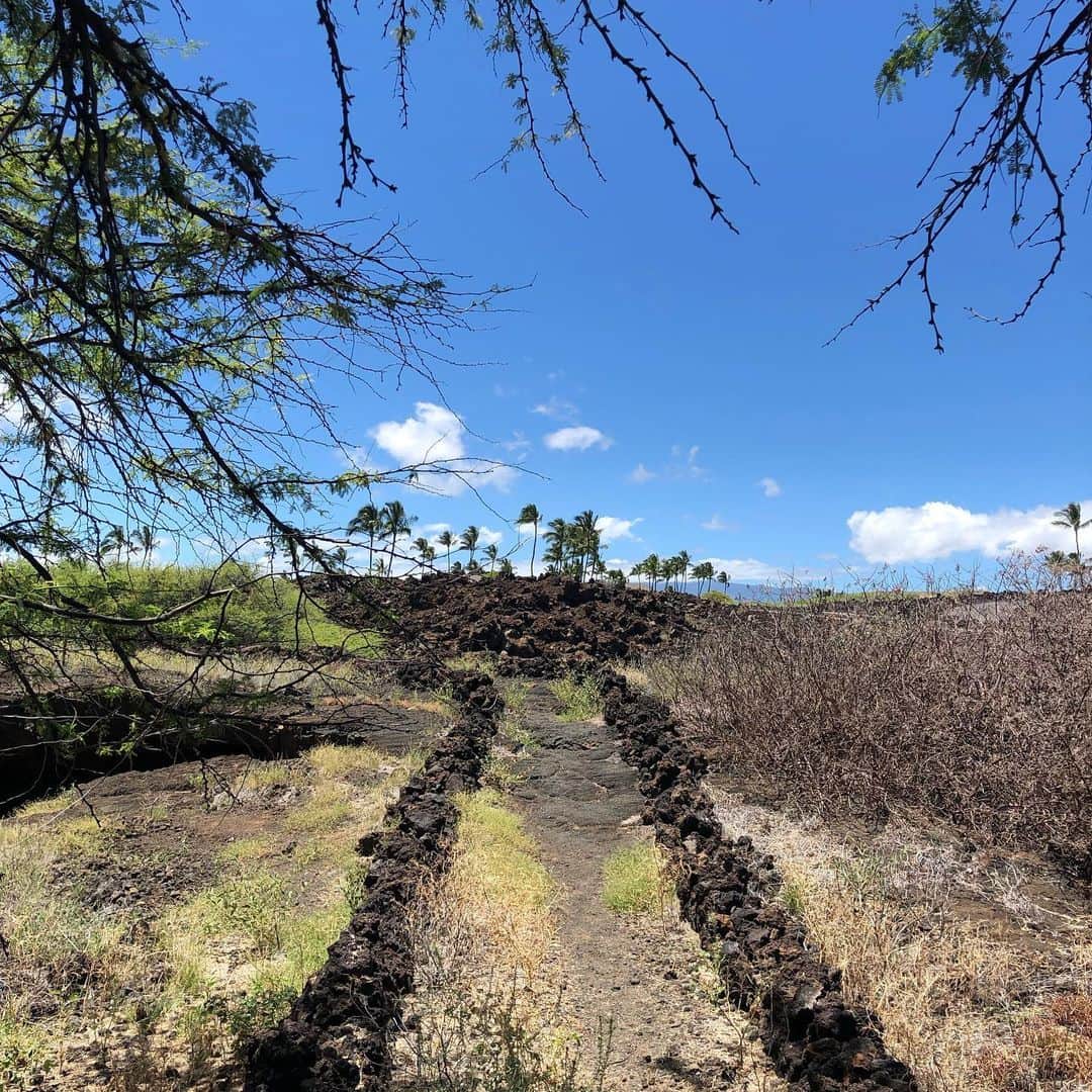 佐伯紅緒さんのインスタグラム写真 - (佐伯紅緒Instagram)「オアフ島には決してない、どこか懐かしい景色の数々。 日本の原風景、私の好きな奄美大島に似ています。  #hawaii  #ハワイ島 #maunalani #マウナラニベイ」5月21日 16時00分 - beniosaeki