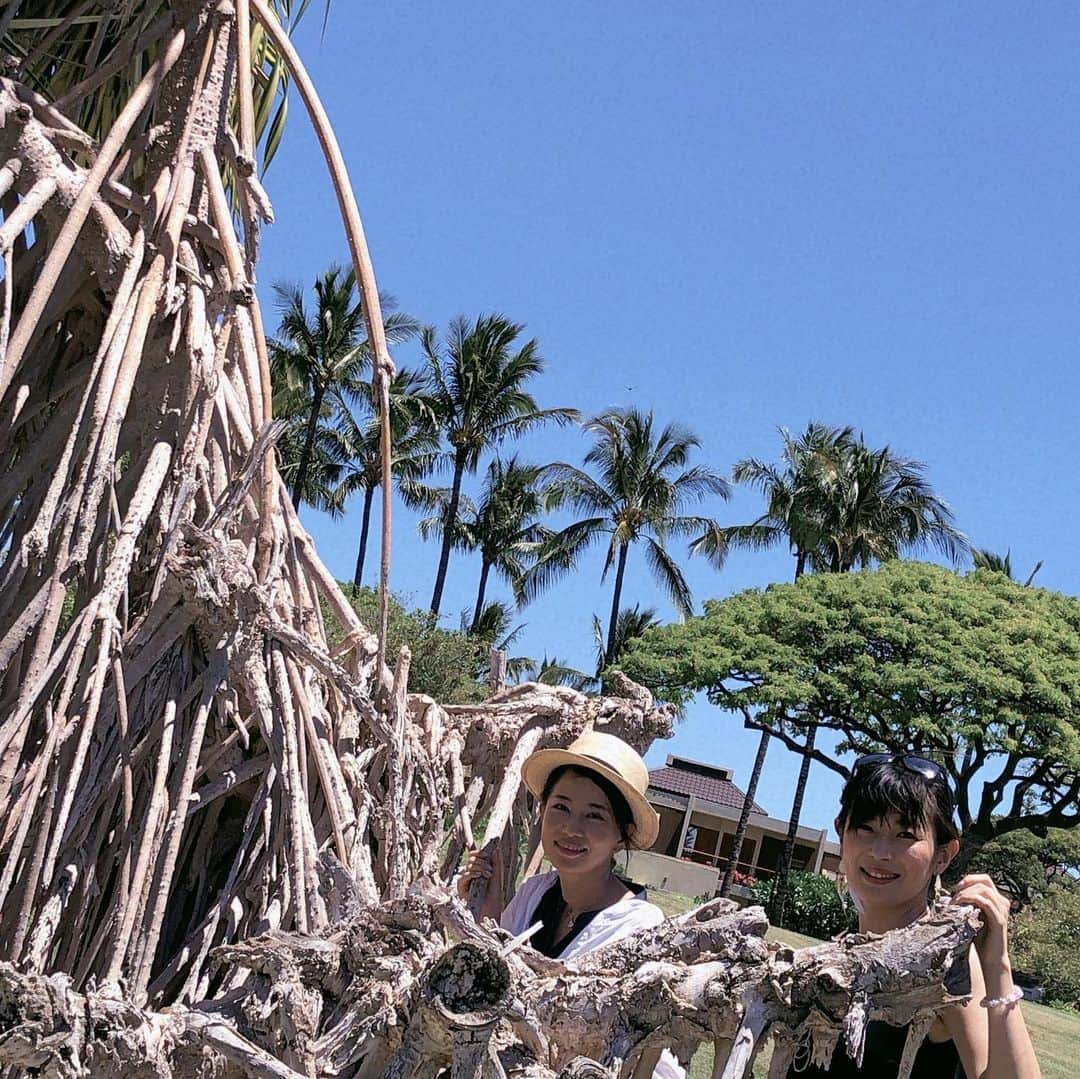 佐伯紅緒さんのインスタグラム写真 - (佐伯紅緒Instagram)「オアフ島には決してない、どこか懐かしい景色の数々。 日本の原風景、私の好きな奄美大島に似ています。  #hawaii  #ハワイ島 #maunalani #マウナラニベイ」5月21日 16時00分 - beniosaeki