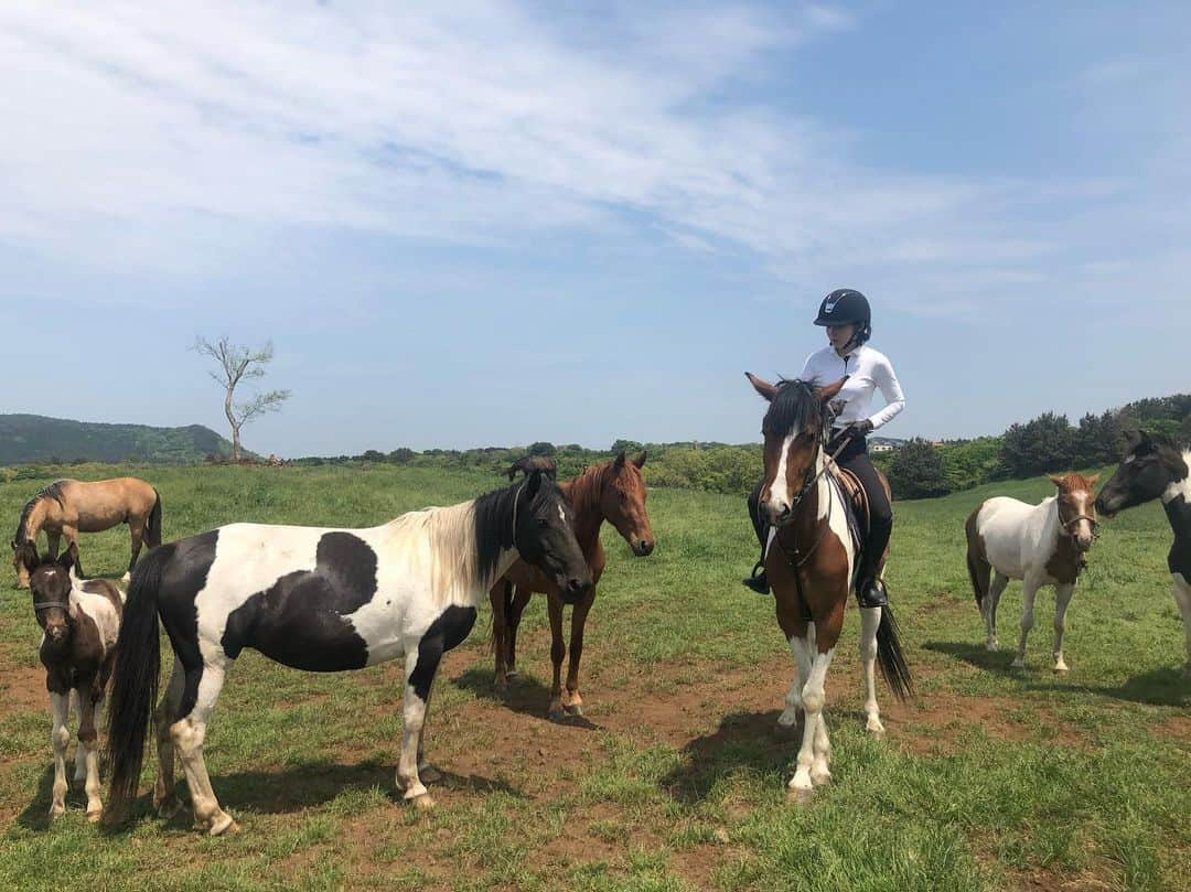 ソヒョン さんのインスタグラム写真 - (ソヒョン Instagram)「그림 같던 제주외승✌️✌️ 사랑스런 말 🐴 들~~ 즐거운 취미 👏👏👏」5月21日 16時13分 - kkwonsso_94