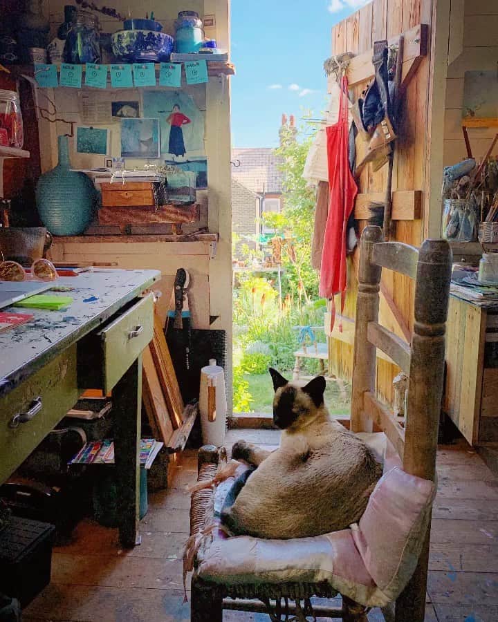 Tea and sittingのインスタグラム：「Some days, listening to The Cheeks purring is all I want to do... ( btw I added sound to this image so you can hear Cheeks purring too and have put a few other sounds in my Stories as well 😽👂🏼💭)」