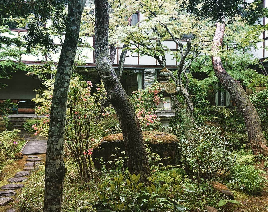 上林ホテル仙壽閣さんのインスタグラム写真 - (上林ホテル仙壽閣Instagram)「#庭園  #senjukaku  #japan  #緑  #地獄谷野猿公苑最寄りの宿  #写真撮ってる人と繋がりたい」5月22日 3時00分 - k_senjukaku