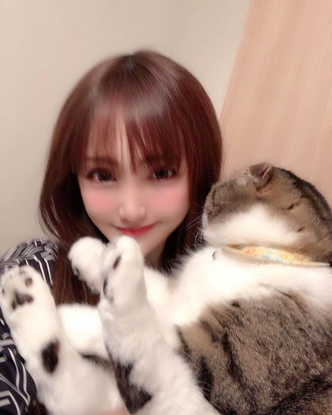 宇佐美あいりさんのインスタグラム写真 - (宇佐美あいりInstagram)「久しぶりにランたんとツーショット♬なかなか一緒に撮らせてくれないから大変w重い...🐷w抱っこして写すとデブ猫ちゃん🐱なのよくわかるでしょ😹w #グラドル自画撮り部#猫顔#愛猫#猫#ねこ#cat#고양이#애완동물#スコティッシュフォールド#귀여운#デブ猫#にゃんすた#にゃんすたグラム#みんねこ#ねこ部#ねこのきもち#猫好き#instacat#catstagram#猫バカ#可愛い#ドラえもん#似てる#みみおれ#ねこと暮らす#followme」5月21日 18時37分 - airi.usami_official