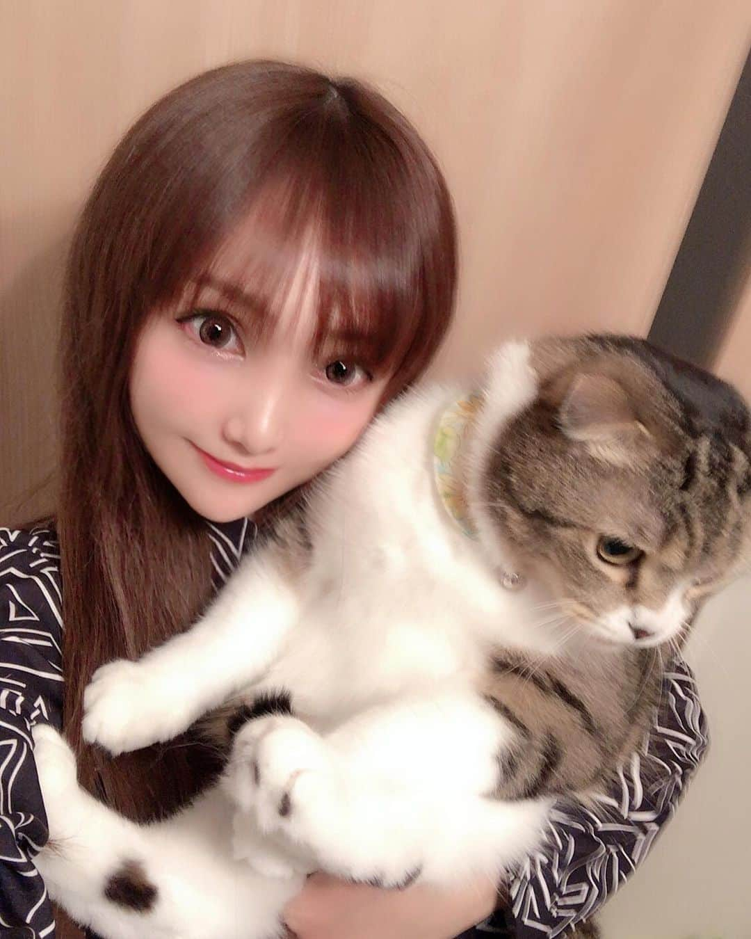 宇佐美あいりさんのインスタグラム写真 - (宇佐美あいりInstagram)「久しぶりにランたんとツーショット♬なかなか一緒に撮らせてくれないから大変w重い...🐷w抱っこして写すとデブ猫ちゃん🐱なのよくわかるでしょ😹w #グラドル自画撮り部#猫顔#愛猫#猫#ねこ#cat#고양이#애완동물#スコティッシュフォールド#귀여운#デブ猫#にゃんすた#にゃんすたグラム#みんねこ#ねこ部#ねこのきもち#猫好き#instacat#catstagram#猫バカ#可愛い#ドラえもん#似てる#みみおれ#ねこと暮らす#followme」5月21日 18時37分 - airi.usami_official