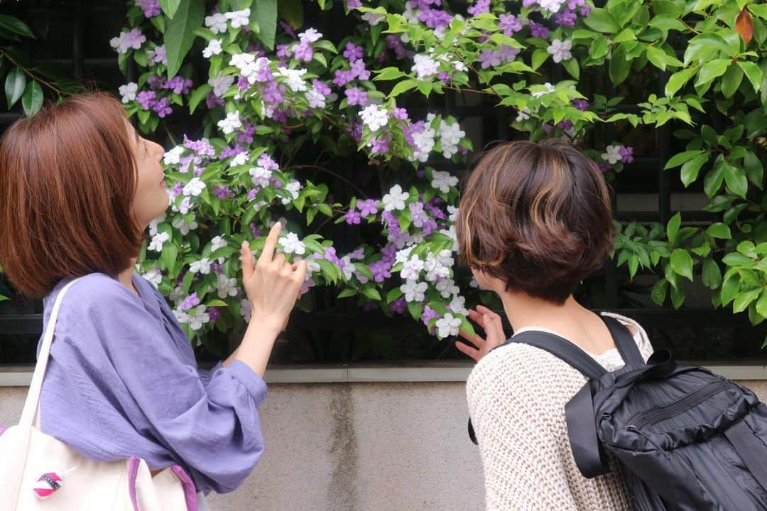 のインスタグラム：「私のオーラカラーはlilac💜 ・ ・ 自分とは縁がないと感じていた、薄ーいピンクやライラックカラー。実は今の私が放つオーラカラーなんだって!！と聞いてから、なんとなく手が伸びるようになり、そのカラーを纏うと心が緩やかに解ける感じ✨ ・ ・ 慈愛を意味するカラーと聞き…なんか嬉しかった^_^  #オーラカラー #ライラック #color #慈愛 #love」