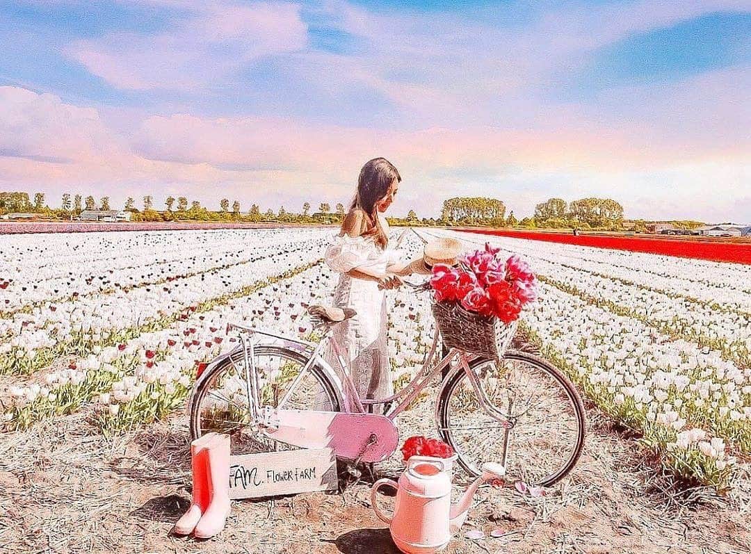 タビジョのインスタグラム