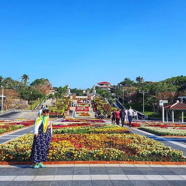 Be.okinawaさんのインスタグラム写真 - (Be.okinawaInstagram)「Ocean Expo Park is filled with various types of flowers in all colors! Snap a photo, and don't forget to include the clear skies of Okinawa! 📷: @cherizmiza  #oceanexpopark #motobu #motobutown #해양엑스포공원 #모토부 #海洋博公園 #本部 #本部町 #park #nature #beokinawa #visitokinawa」5月21日 19時00分 - visitokinawajapan