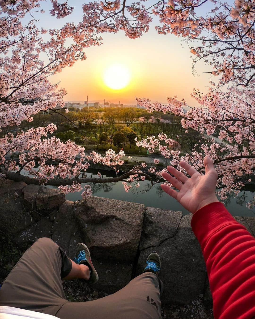 GoProさんのインスタグラム写真 - (GoProInstagram)「夕日＋桜 🌸☀️ 日本ならではの春の景色を #GoProファミリー @arata_fukoe が #POV 視点でキャプチャー。 ・ ・ ・ #GoPro #GoProJP #GoProTravelJapan TravelJapan #TripOn #桜 #夕焼け #夕日 #Sakura #Sunset」5月21日 19時33分 - goprojp