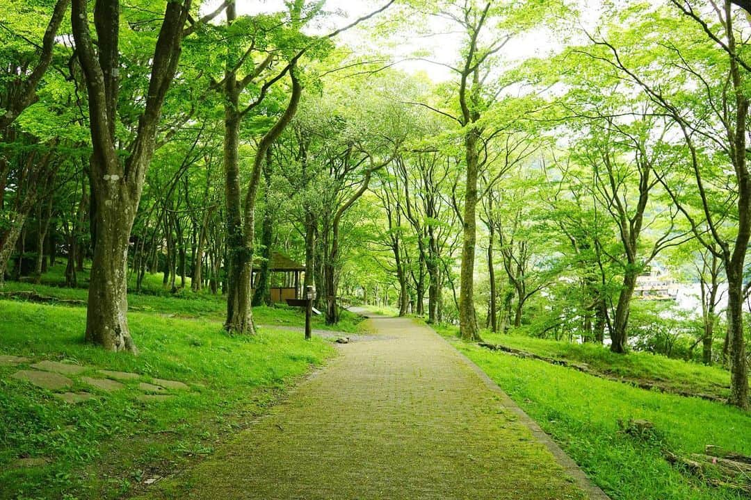 THE GATEさんのインスタグラム写真 - (THE GATEInstagram)「【Follow us! @thegate_japan】 THE GATE is a website for all journeys in Japan. Follow @thegate_japan for japan travel inspiration! . Kojiri-enchi Park (#湖尻園地)locates in southwestern Kanagawa’s town of #Hakone(#箱根)🌿✨✨ . It lies at the northern side of Lake Ashinoko, and is made up of seven smaller parks. . There is a path connecting all seven of the parks. During your hike, you can find many different species of plants and birds. . The park is well visited during autumn. Its fall foliage can be seen around mid-November. Kojiri-enchi Park is located not too far from Togendai Station, the last stop on the Hakone Ropeway. . #Japan #thegate_japan #travel #exploring #thegate #thegate_park #visitjapan #sightseeing #ilovejapan #triptojapan #beautifulflowers #flowers #gardens #nature #beautifulnature #spring #springseason #green #greenleaf #nature #naturelovers #relaxing #park #kanagawa」5月21日 19時46分 - thegate_travel