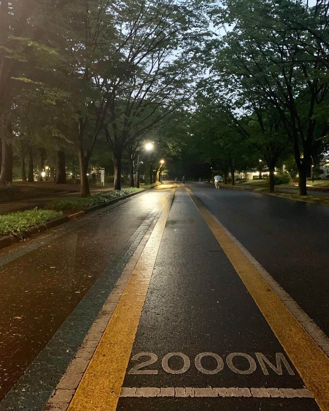 ANNA さんのインスタグラム写真 - (ANNA Instagram)「雨上がりの夜ラン、最高に気持ちいい🏃‍♀️🌙・ ・ ・  #running #aftertherain #nightrunning #workout  #bodymake #dayoff #healthybody #jogging #ナイトラン」5月21日 19時49分 - anna_flare