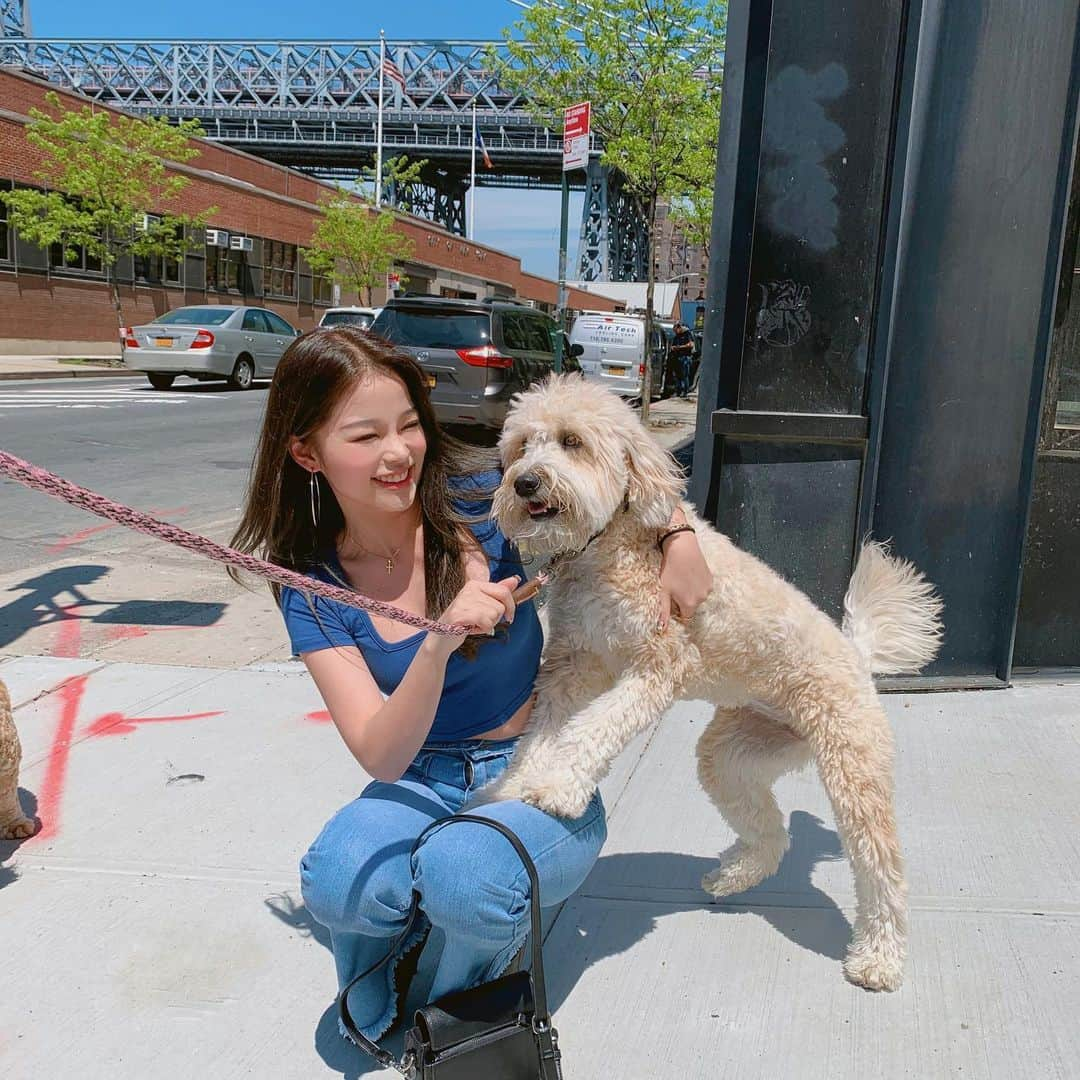 カン・ギョンミンさんのインスタグラム写真 - (カン・ギョンミンInstagram)「여행 중 만났던 댕댕이들 긔엽월,, 🐶」5月21日 19時59分 - kkmmmkk