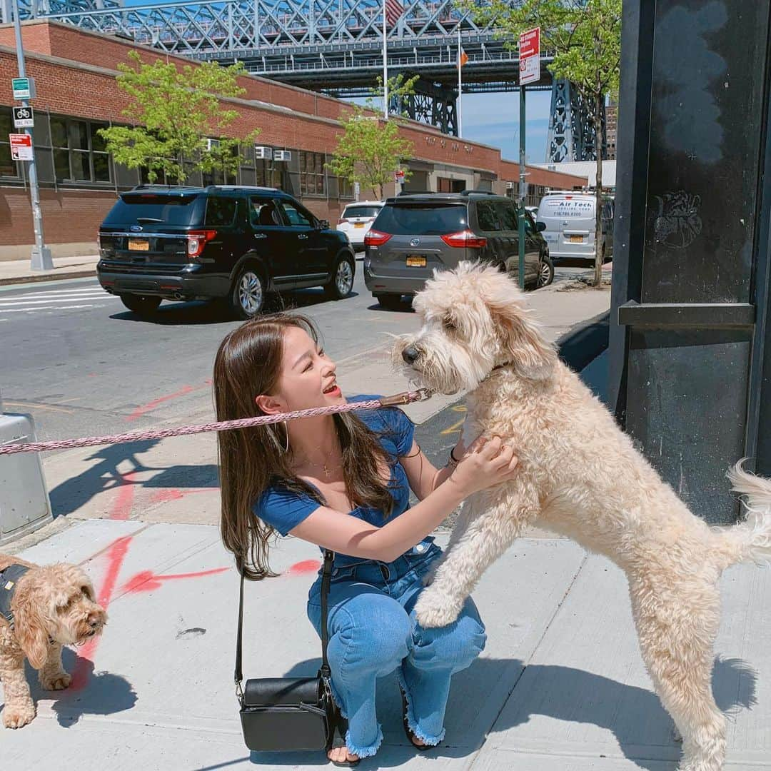 カン・ギョンミンさんのインスタグラム写真 - (カン・ギョンミンInstagram)「여행 중 만났던 댕댕이들 긔엽월,, 🐶」5月21日 19時59分 - kkmmmkk