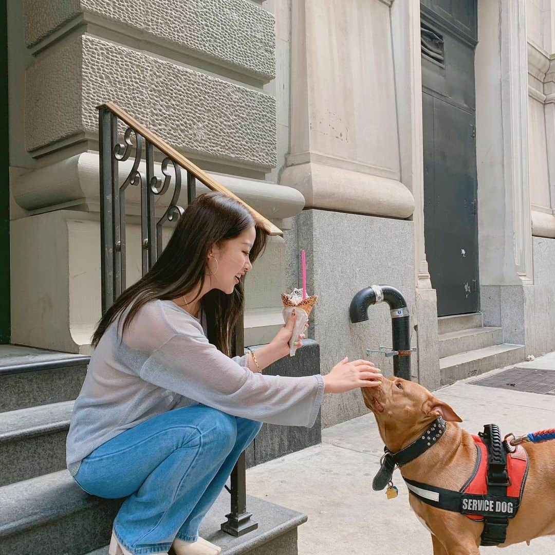 カン・ギョンミンさんのインスタグラム写真 - (カン・ギョンミンInstagram)「여행 중 만났던 댕댕이들 긔엽월,, 🐶」5月21日 19時59分 - kkmmmkk