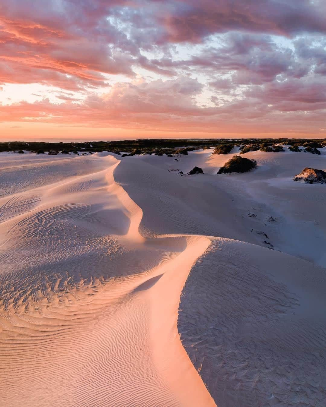 Australiaさんのインスタグラム写真 - (AustraliaInstagram)「Red skies and white sand… @westernaustralia’s diverse colour palette just keeps surprising us! @michaelsarich captured this mesmerising #sunset at #Lancelin, which is @australiascoralcoast’s most popular #sandboarding destination, thanks to its gigantic snow-white #sanddunes. Located 1.5 hours from @destinationperth, @adamsperth, @exploretoursperth and @westsidetours all run tours here with a stop to sandboard at the sand dunes (of course!), or you can simply rent a sandboard on site if you’re driving there yourself - both easy options!  #seeaustralia #justanotherdayinwa #australiascoralcoast #naturephotography #travelgram」5月21日 20時00分 - australia