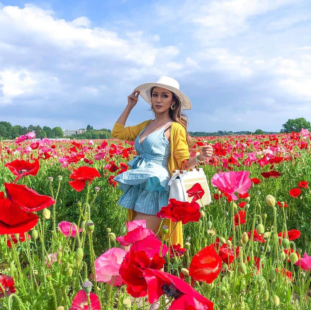 AYAMEさんのインスタグラム写真 - (AYAMEInstagram)「#ootd#fashionnova#fashionnovababe#misspap#flowers#flowergarden#poppy#languageofflowers#oblivion#sleep##imagination#photogenic#genic_mag#genic_flower#blogger#bloggerstyle#bloggerlife#bloggerfashion#womanslook#ポピーハッピースクエア#ポピー#ポピー畑#ビジョビ#車にポピー#オトナ女子#여행」5月21日 20時11分 - l.ayame