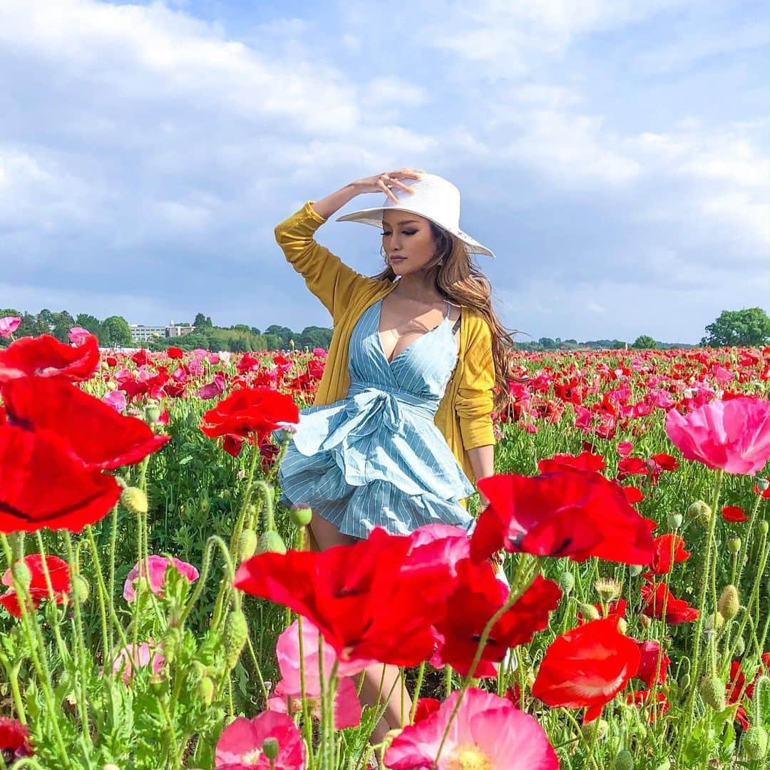 AYAMEさんのインスタグラム写真 - (AYAMEInstagram)「#ootd#fashionnova#fashionnovababe#misspap#flowers#flowergarden#poppy#languageofflowers#oblivion#sleep##imagination#photogenic#genic_mag#genic_flower#blogger#bloggerstyle#bloggerlife#bloggerfashion#womanslook#ポピーハッピースクエア#ポピー#ポピー畑#ビジョビ#車にポピー#オトナ女子#여행」5月21日 20時11分 - l.ayame