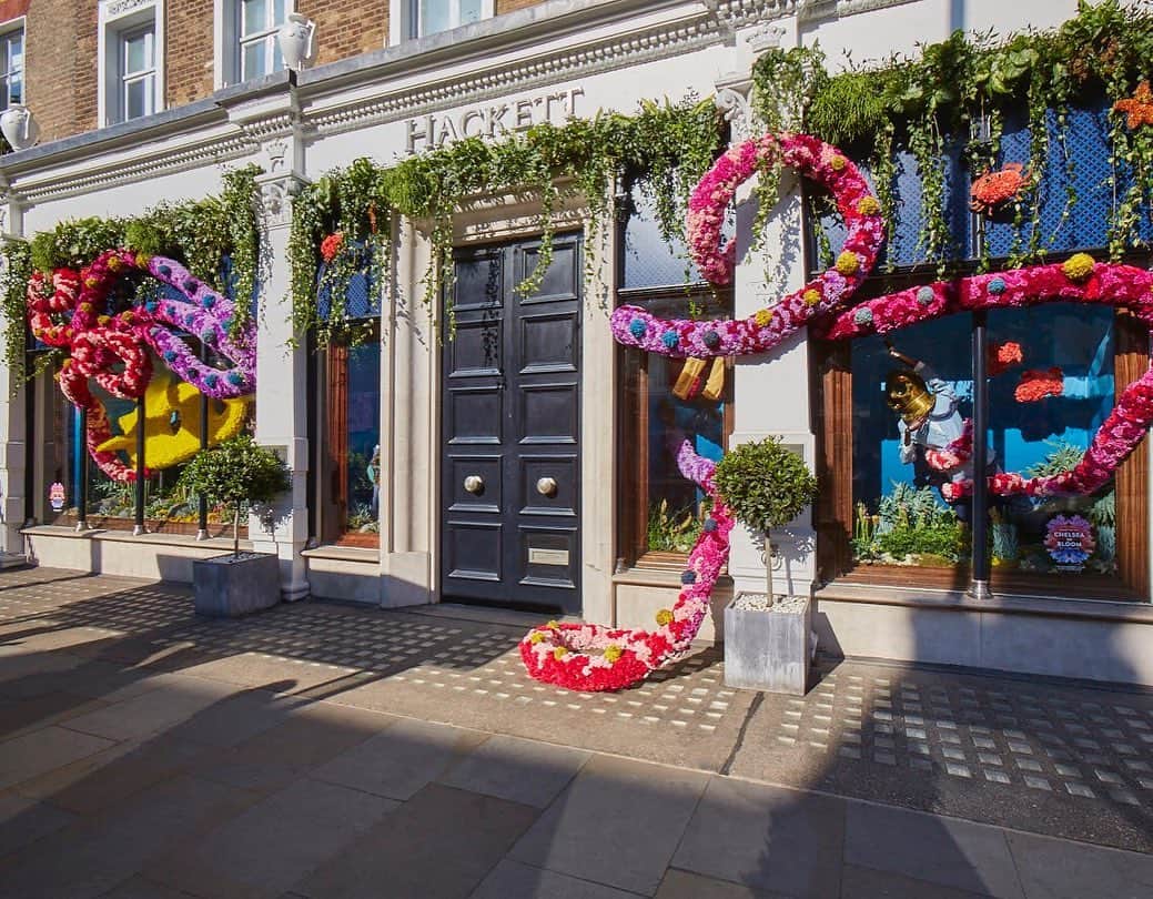 ハケットのインスタグラム：「And suddenly, a giant octopus appears in #ChelseaInBloom 🐙 Inspired by Jules Verne's "Twenty Thousand Leagues Under the Sea", our take on this year's theme features marine life, deep sea divers kitted out in Hackett and our very own yellow submarine. Come have your picture taken and vote for Hackett London for the "People's Choice Award" at the link in bio. #Hackett #Chelsea #UnderTheSea」