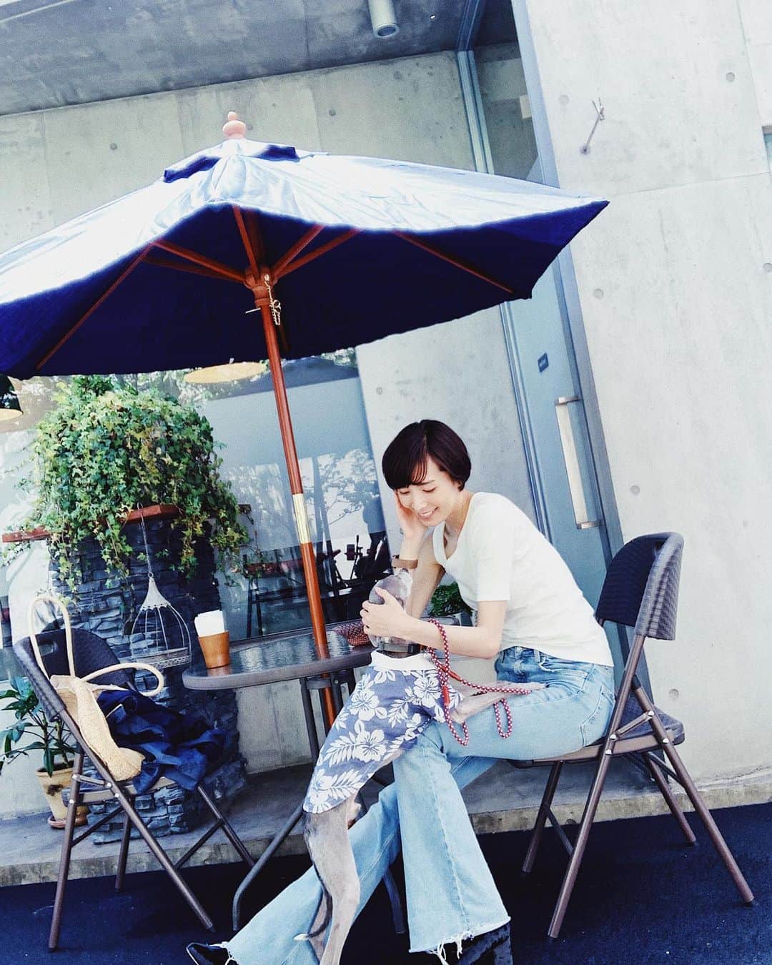 のインスタグラム：「* ******** Finally it was sunny☀︎ So we could have lunch on the terrace @basara_yoshitake .😋 * やっと晴れたので長めのお散歩へ！ ずっと気になっていた#婆皿よしたけ は、テラスわんこOKでした🐶❤️ 美味しい創作和食をお昼から食べることができて幸せ。 ハウルも久しぶりのお散歩で、とっても嬉しそうでした！ 落ち着いた色のアロハシャツも、道行く人達に沢山褒めていただきとても嬉しかったです🥰 * ******** #イタグレ#イタリアングレーハウンド#italiangreyhound#dogstagram#イタグレとの暮らし#iggy#iggygram #iggylove#iggylife#いぬのいる暮らし#犬のいる暮らし#いぬバカ部#イタグレ服#iggysoftheworld #iggysofinstagram #dogsofig #dogsofinstagram #プチプラコーデ #犬好きな人と繋がりたい#オシャレさんと繋がりたい#犬服ハンドメイド#大分県#oita#おんせん県#おんせん県おおいた#oita_pride #oitagram#oitaprefecture#大分ランチ」