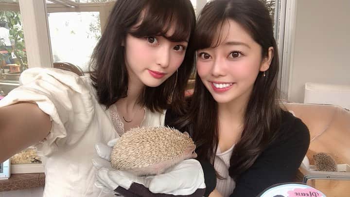 みさきのグルメインスタ