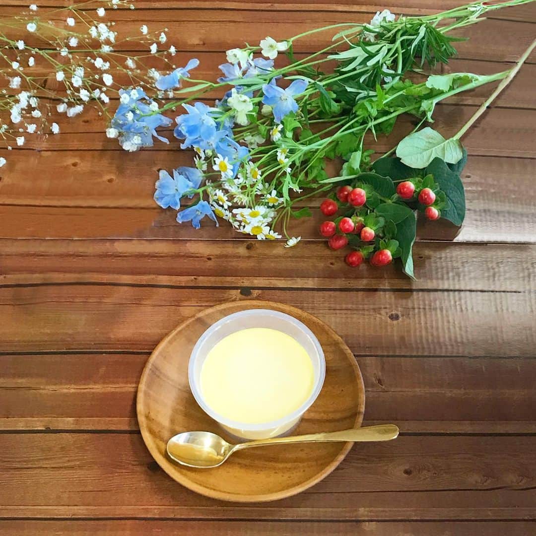 トーラク株式会社のインスタグラム：「今日はお部屋の模様替え💐 プリンでひとやすみ . ◉ハニーカスタードプリン 145円（税別） ハンガリー産アカシアはちみつが上品に香るプリン. 5月21日発売です✨  #トーラク #TORAKU #神戸プリン #プリン #カスタードプリン #はちみつ #はちみつスイーツ #蜂蜜スイーツ #花のある生活 #甘いもの #コンビニスイーツ #コンビニ #スイーツ #スイーツ好き #pudding  #sweets⠀#おやつタイム」