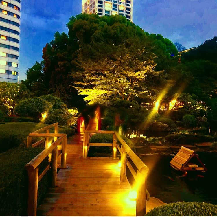 ホテル ニューオータニさんのインスタグラム写真 - (ホテル ニューオータニInstagram)「Japanese Garden shows many different expressions in accordance with the time of day. 新緑があざやかに浮かび上がり、日中とはまた違った趣を感じられる「夜の日本庭園散策」はいかがですか？ #日本庭園 #新緑 #散策 #夜の散歩 #ライトアップ #赤坂 #ホテルニューオータニ #japanesegarden #nighttime #strolling #takeawalk #illumination #freshgreens #tokyo @hotelnewotanitokyo」5月21日 21時53分 - hotelnewotanitokyo