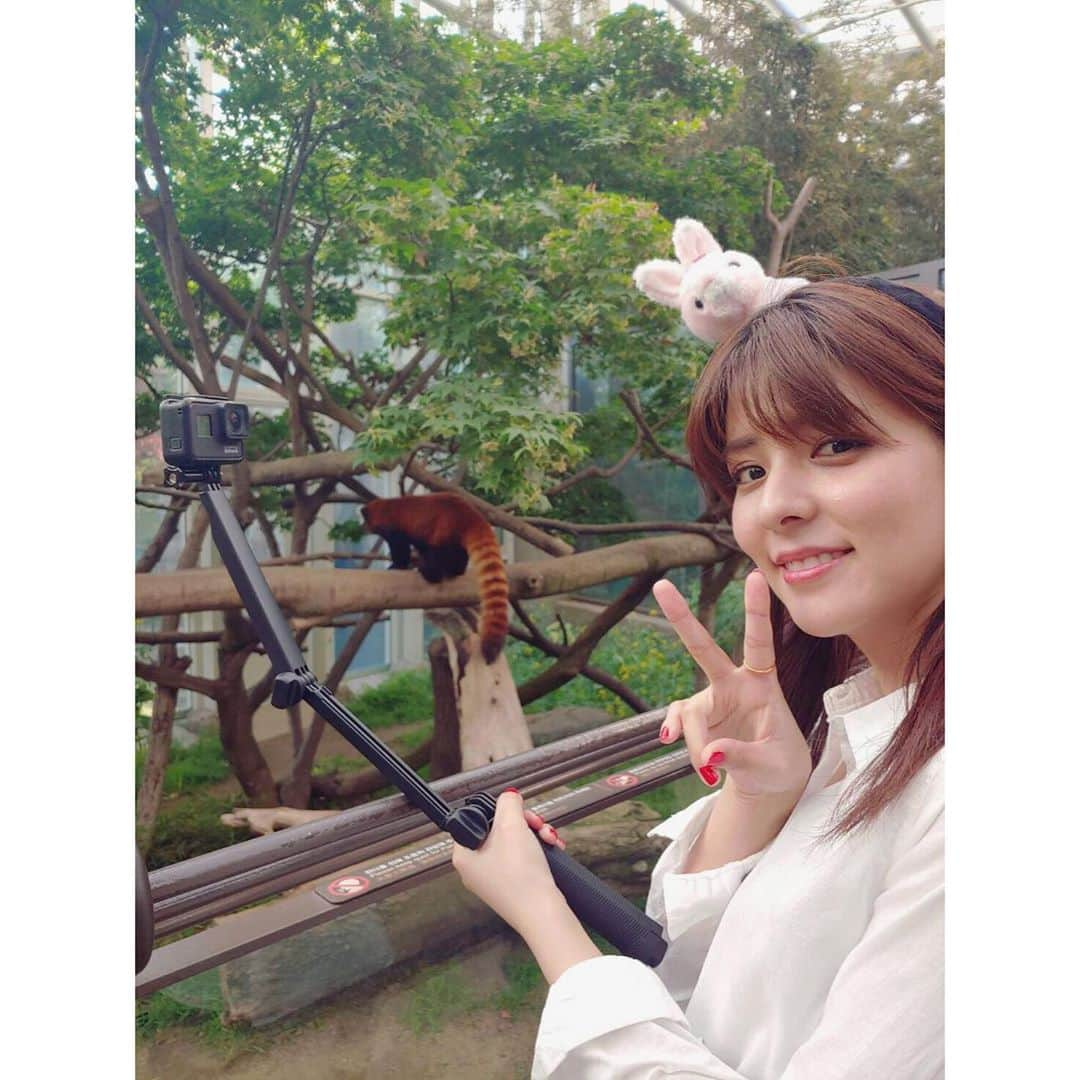 藤井美菜さんのインスタグラム写真 - (藤井美菜Instagram)「. エバーランドにはたくさんの動物が🦁 全体的に興奮しすぎている私の動画は、YouTubeにてご覧ください😂 에버랜드에는 정말 많은 동물들이 있네요. 🦁 전체적으로 너무 흥분되버리고있는 나의 모습은 유트브에서 보실수있습니다😂 #エバーランド#遊園地#サファリ#에버랜드#놀이공원#사파리#로스트밸리 #everlandkorea#safari#lostvalley」5月21日 22時31分 - fujii_mina_0715