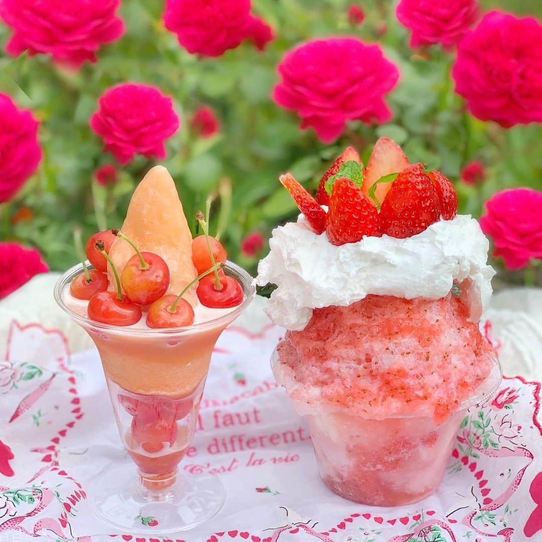 小沼瑞季さんのインスタグラム写真 - (小沼瑞季Instagram)「🍓🍧🍒💕✨﻿ ﻿ ﻿ 去年に引き続き今年も、、、﻿ 日本橋高島屋のやまがた展へ⛰🍒﻿ ﻿ さくらんぼパフェ🍒と﻿ いちごのかき氷🍓食べたよ🥰💖﻿ 特にパフェはさくらんぼたっぷりで満足✨﻿ ﻿ 階段あがってすぐの高島屋の屋上は﻿ ローズガーデンができてました💐﻿ ﻿ いまはどこも薔薇で溢れてる🌹🌹🌹﻿ ﻿ ﻿ #shaveice#cherryparfait#tokyocafeb日本橋高島屋#日本橋#日本橋カフェ#東京カフェ#やまがた展#さくらんぼ#さくらんぼパフェ#いちご#かき氷#かきごおりすと#期間限定カフェ#期間限定#スイーツ巡り#スイーツ好き#スイーツ部#カフェ巡り#みいきのカフェめぐり☕️🍰」5月21日 22時40分 - mizukikonuma