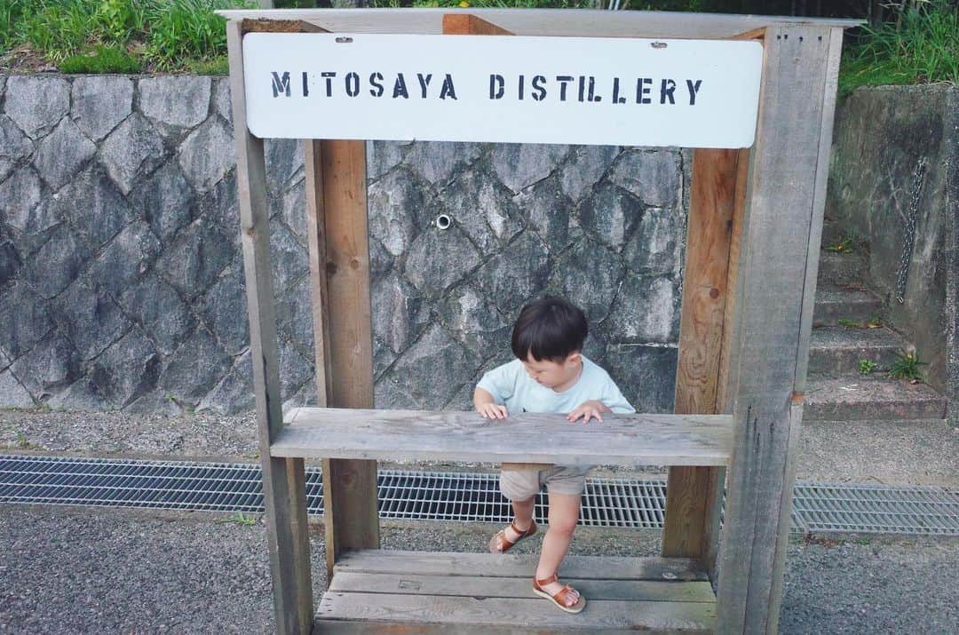 のインスタグラム：「千葉県ドライブ🏎 いすみ町の donner @donner_isumi でランチして、大多喜町のMitosaya薬草園蒸留所 @3tosaya へ🌱 この流れサイコーでした #chiba #mitosaya #donner #botanicaldistillery #子連れの週末」