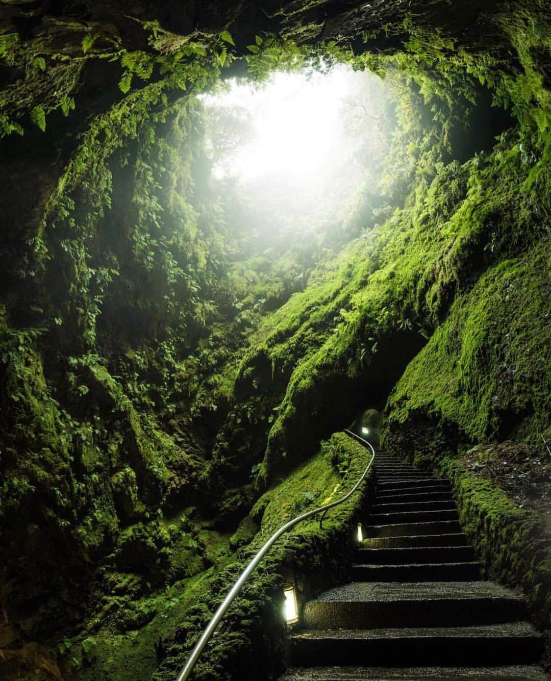 Discover Earthさんのインスタグラム写真 - (Discover EarthInstagram)「Algar do Carvao is a cave formed from an extinct volcano located in the center of Terceira a Portuguese island. In the middle of this cave you will find a beautiful rainforest and a lake at the bottom of it ! How amazing ! 🌋 🇵🇹 Who would you want to discover this place with ? Tag them ! — 📍#DiscoverPortugal — 📸 Photo by @nate_dodge」5月21日 23時39分 - discoverearth